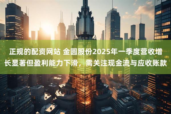 正规的配资网站 金圆股份2025年一季度营收增长显著但盈利能力下滑，需关注现金流与应收账款